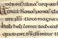 Irish Half-Uncial from the “Gospel of Matthew”