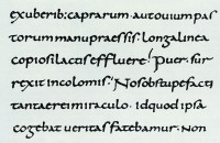 Carolingian Minuscule from “The Life of St. Martin”