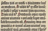 Textura der Gutenberg-Bibel